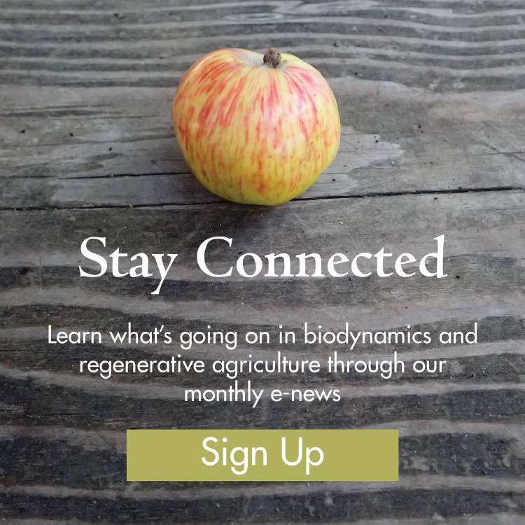 8 Ways To Learn About Biodynamics | Biodynamic Association