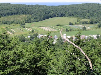 View over Hawthorne Valley Farm