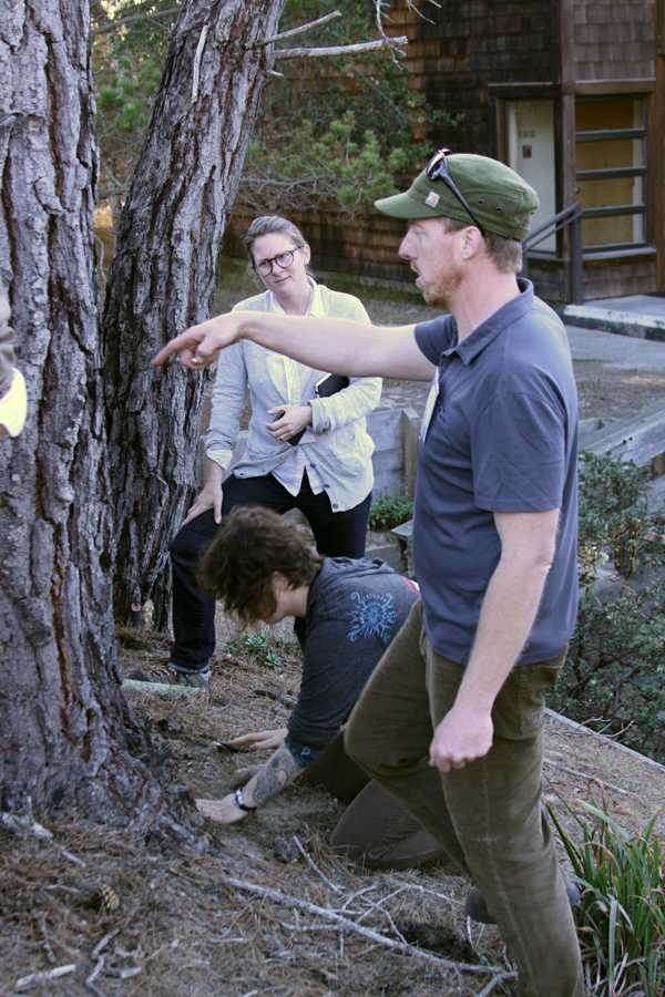 Lloyd Nelson explains biodynamic methods for promoting tree health