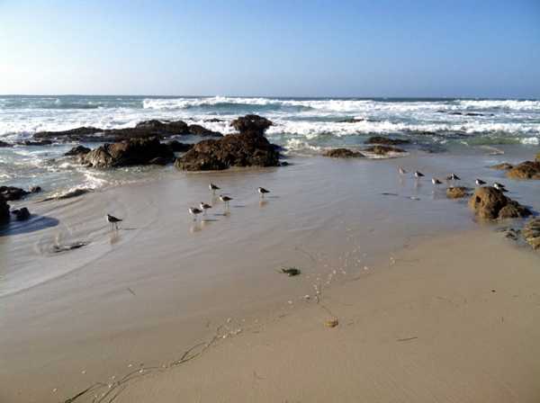 Finding inspiration in the beautiful setting of Asilomar conference grounds